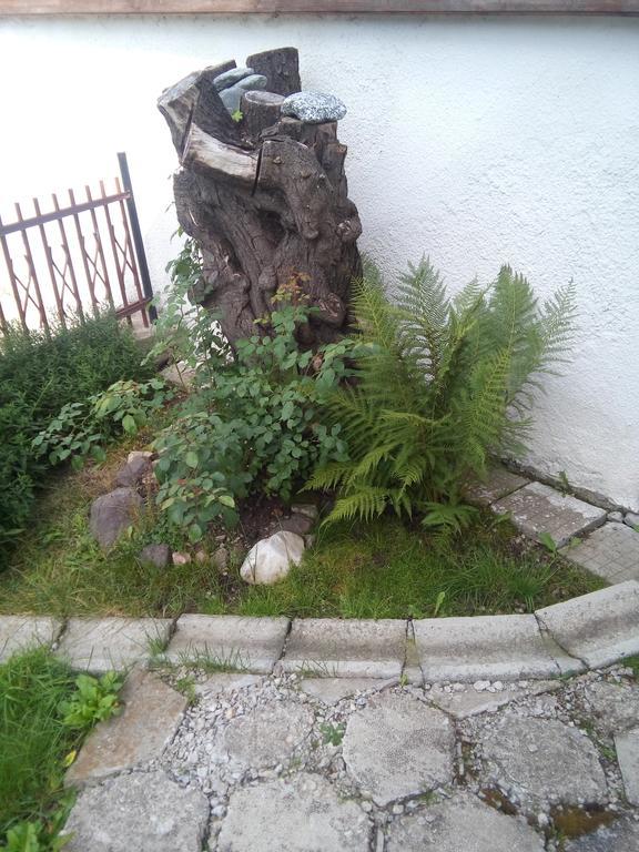Guest House Ahp Mala Tsurkva Exterior photo
