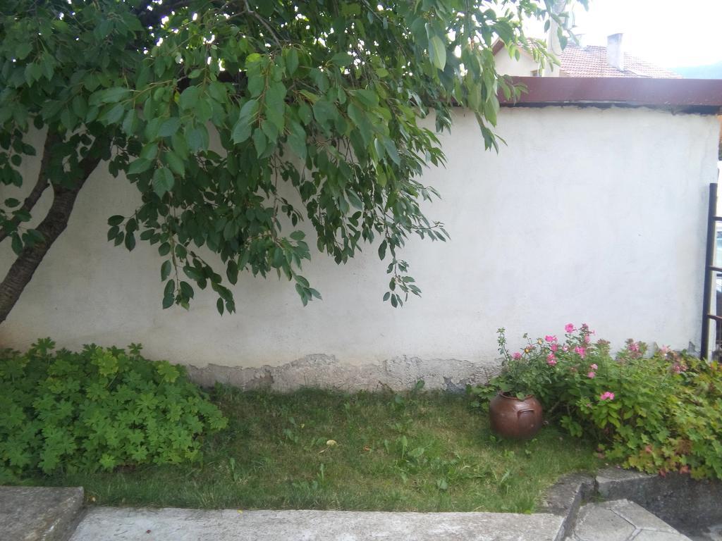 Guest House Ahp Mala Tsurkva Exterior photo