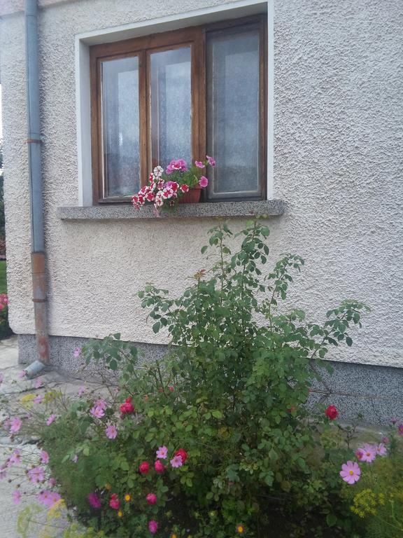 Guest House Ahp Mala Tsurkva Room photo