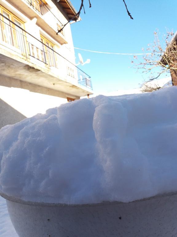 Guest House Ahp Mala Tsurkva Exterior photo