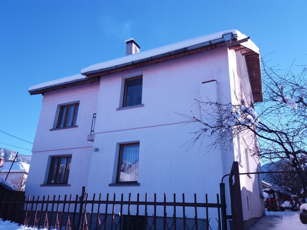 Guest House Ahp Mala Tsurkva Exterior photo